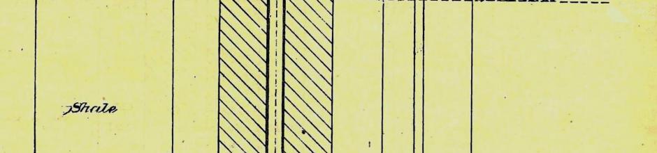 Dagworth bore, 1896