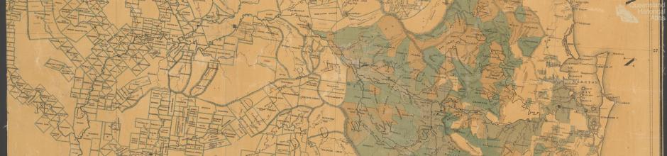 Southern portion of Queensland showing surveyed runs, 1872