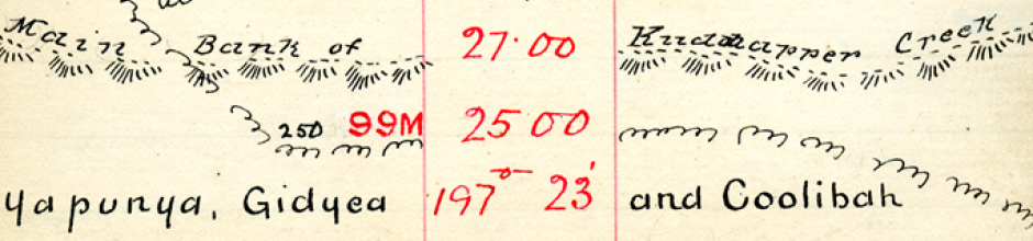Rail survey plan depicting creek running with artesian water, 1895