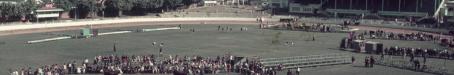 Cattle judging, main arena, Brisbane exhibition, Bowen Hills, c1980s