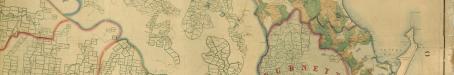Map of the southern portion of the colony of Queensland showing the surveyed runs, 1872