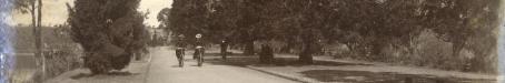 Women cycling through the Botanic Gardens, Brisbane, 1896