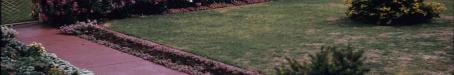 Carnival of Flowers, Toowoomba, 1960