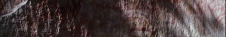 Aboriginal art, Carnarvon Gorge, 1979