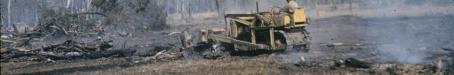 Land clearing, Kingaroy Shire, 1955