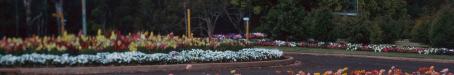 Carnival of Flowers, Toowoomba, 1982