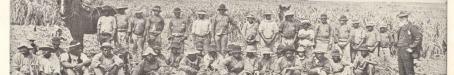 Group of South Sea Islanders, Watawa Plantation, Bingera, 1897