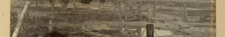 Thurulgoona Bore No 7, c1910