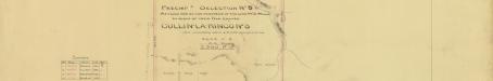 Cullin-la-ringo run, selection 67, 1877