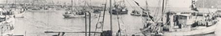 The pearling fleet leaves Kushimoto, 1953