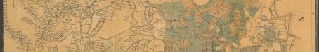 Southern portion of Queensland showing surveyed runs, 1872