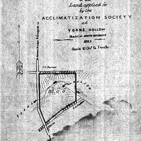 Plan of the land applied for by the Acclimatization Society at Yorks Hollow 1863